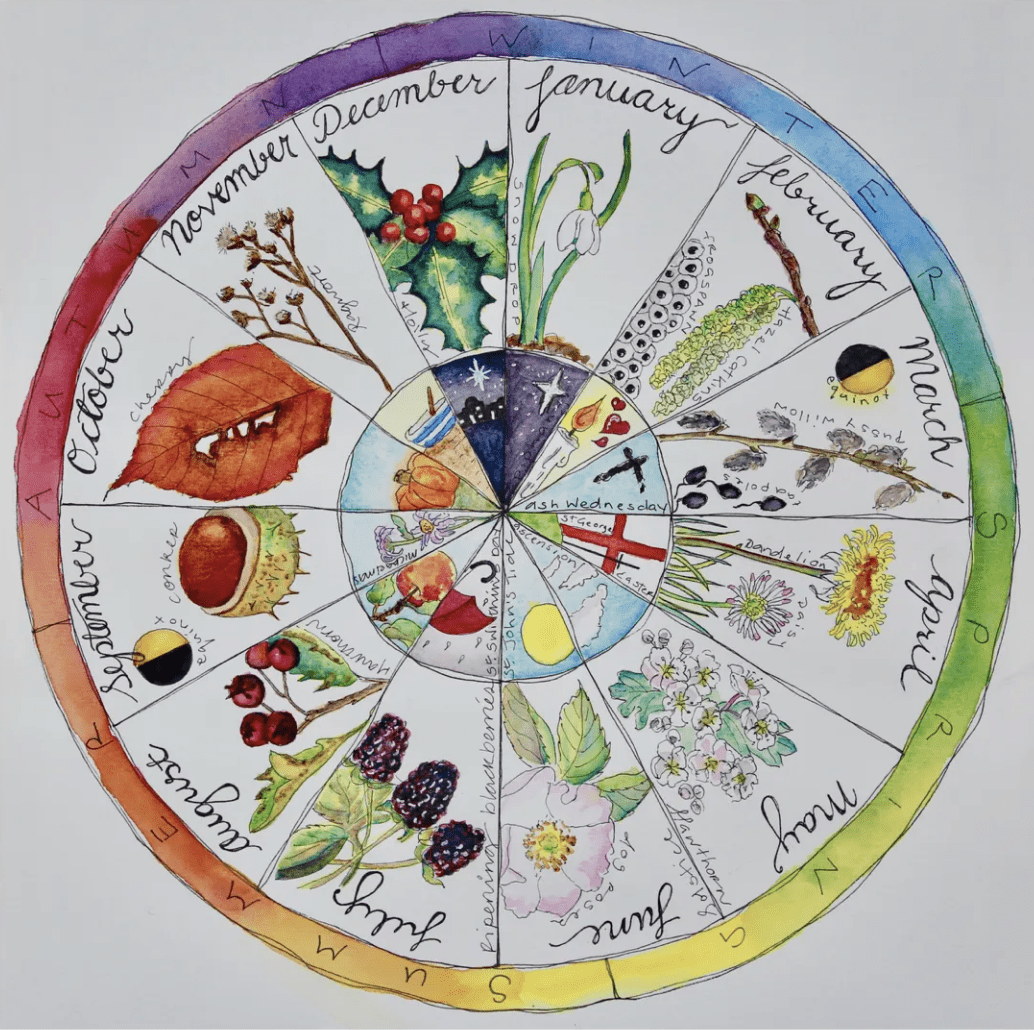 Wild Wonders Exploring the Seasons