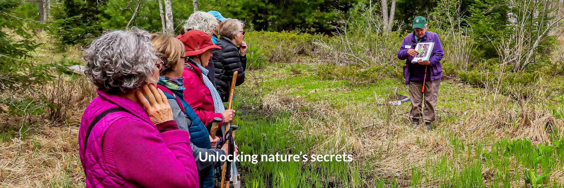 6 Unlocking nature’s secrets